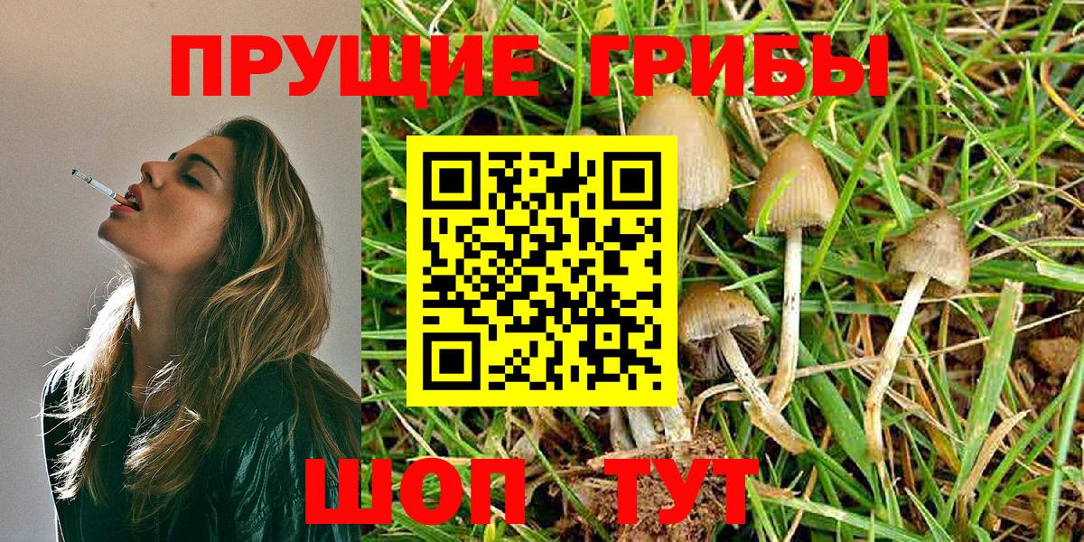 Карпинск  Псилоцибиновые грибы Psilocybe  где продают   Вход с VPN 