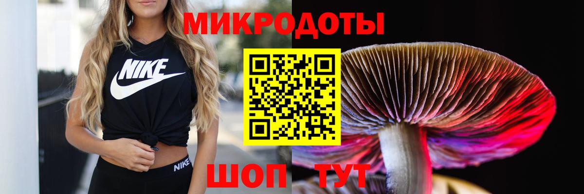 Псилоцибиновые грибы MAGIC MUSHROOMS Карпинск